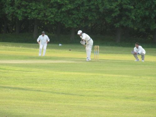 tahir batting.jpg